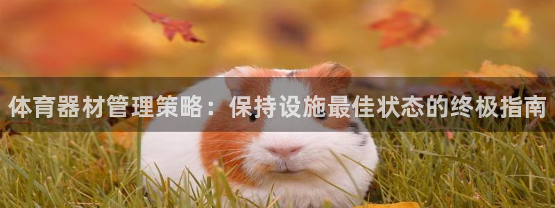 必一体育下载一样吗：