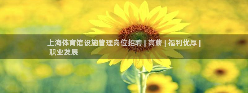 必一运动体育官网：上海体育馆设施管理岗位招聘 | 高薪 | 