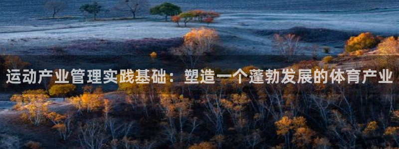 必一体育手机下载：运