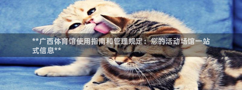 必一体育app官方正