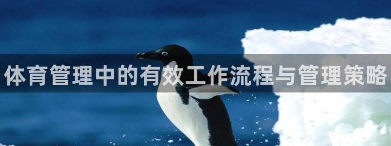 必一体育官方下载：体