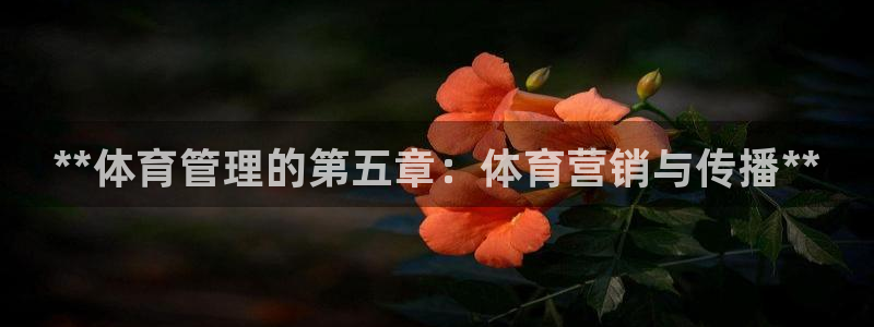 必一体育官方下载入口