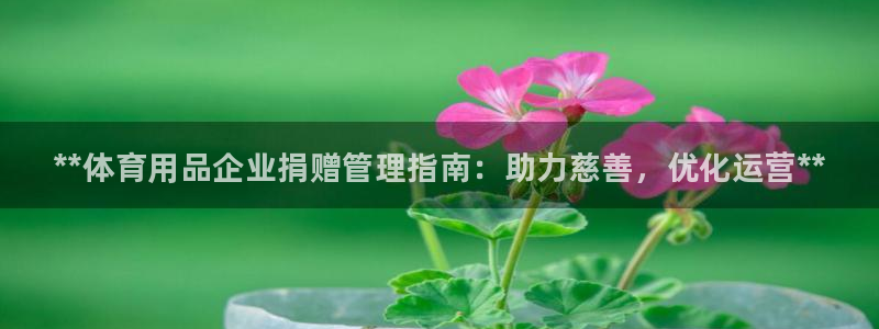 必一体育sport：**体育用品企业捐赠管理指南：助力慈善，