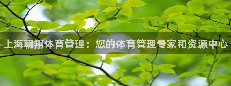 必一体育下载登入：上海朝翔体育管理：您的体育管理专家和资源中