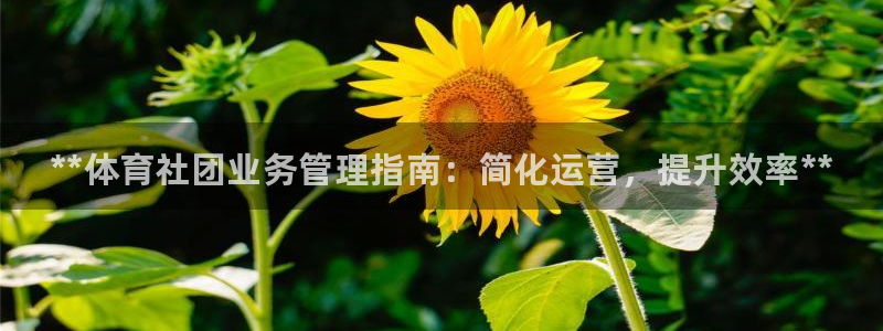 必一运动体育官网下载