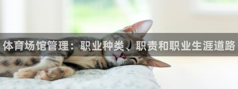 必一运动听的歌：体育